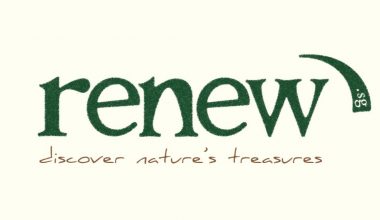 renew.sg business logo