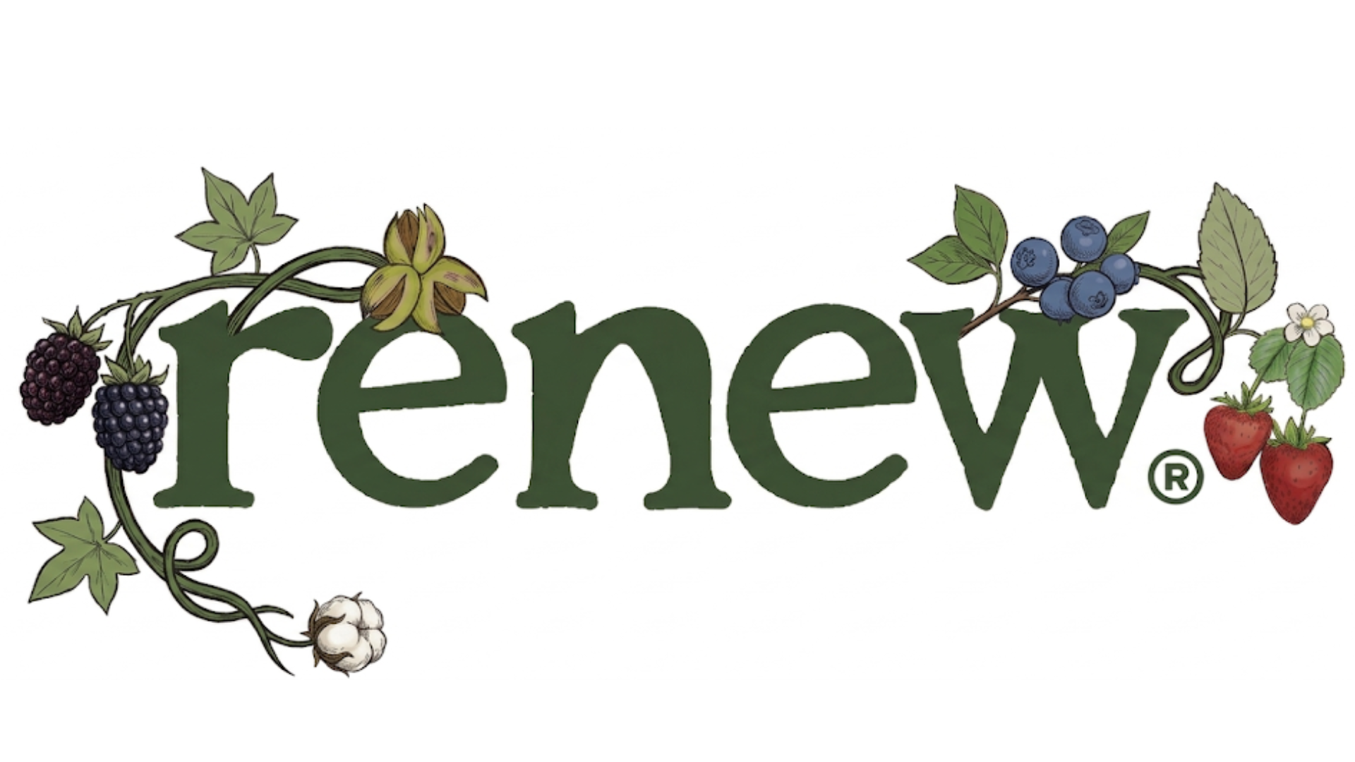 renewsg logo rustic drawn