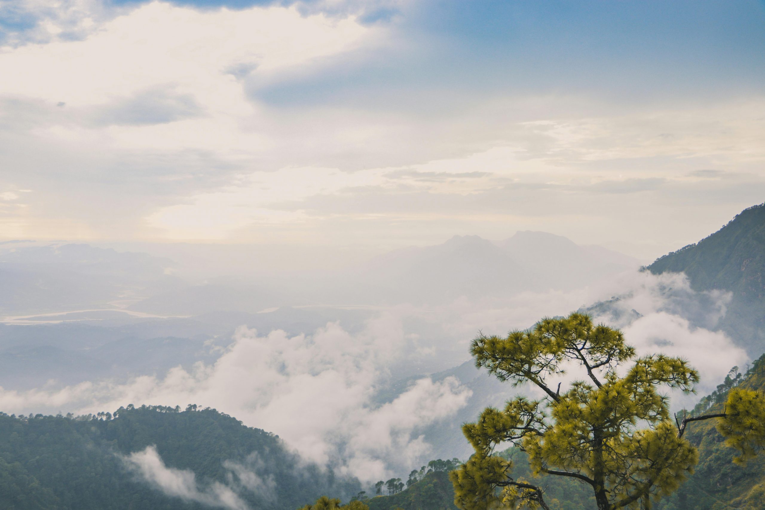 renewsg home page picture big