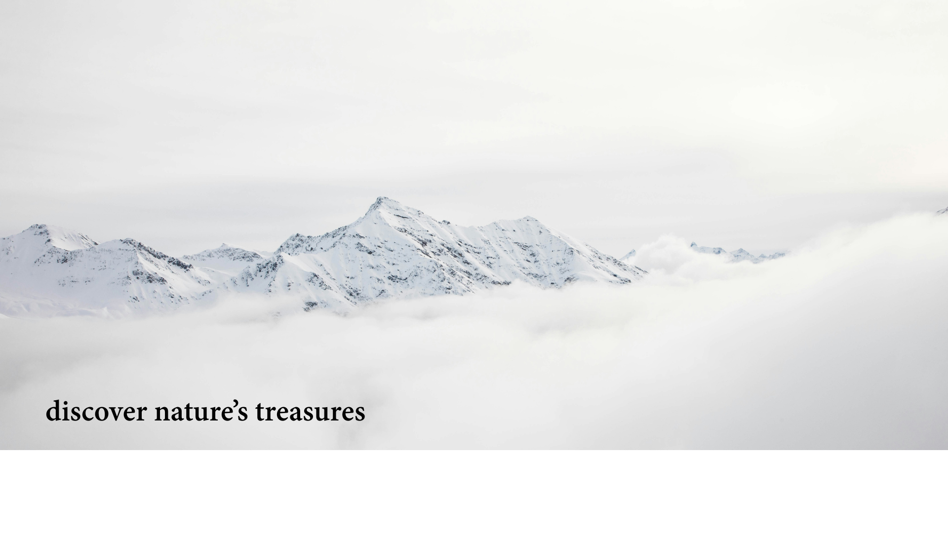 renewsg homepage snow