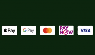 payment icons visa mastercard paynow