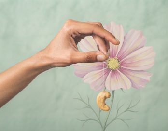hand holds cashew by string